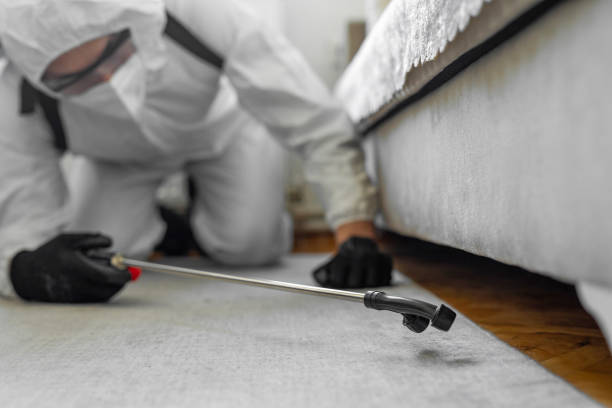 Professional Pest Control technician working in Naples, TX