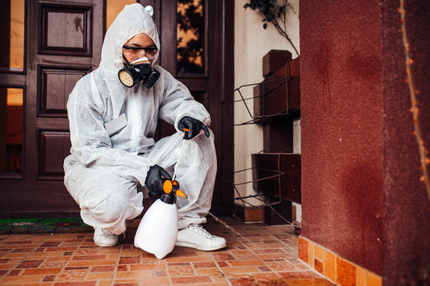 Reliable Pest Control contractor in Naples, TX by Nex Pest Control