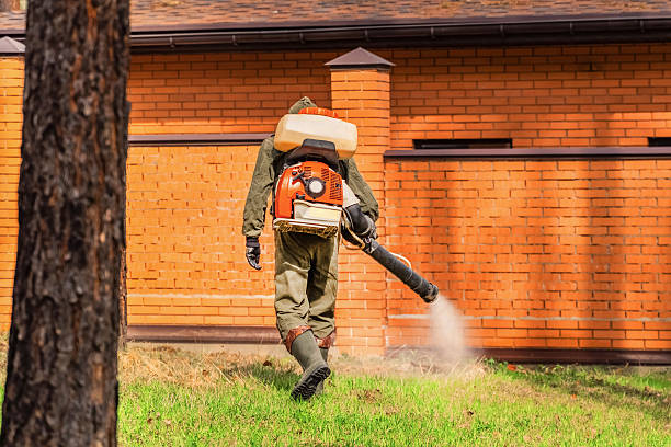 Top rated local Pest Control specialists in Naples, TX
